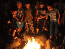 Summer 2017 In Review